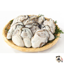 冷冻生蚝肉 8oz IQF Oyster Meat 8oz