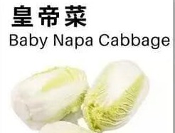 皇帝菜