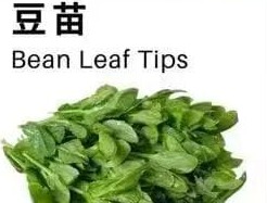 豆苗