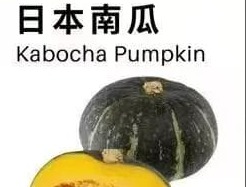 日本南瓜