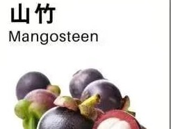 山竹
