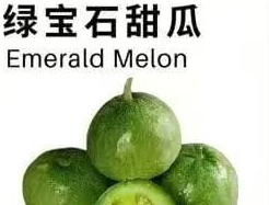 绿宝石甜瓜