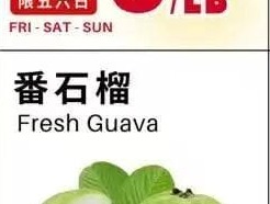 番石榴
