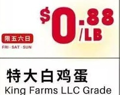 特大白鸡蛋