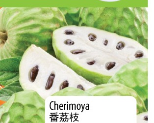 番荔枝