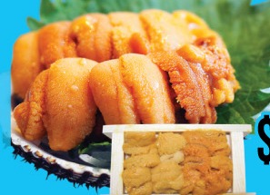 海胆