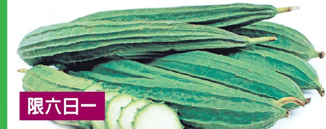 胜瓜 Sponge Gourd / Luffa