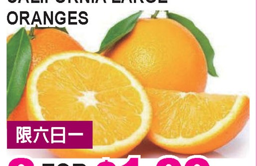 加州大橙 California Large Oranges