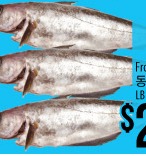 Frozen Pollock
