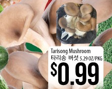 Tarisong Mushroom