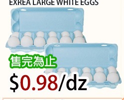 特大白鸡蛋 EXREA LARGE WHITE EGGS