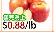 有机卡拉苹果 ORGANIC GALA APPLE