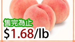 特大水蜜桃 WHITE PEACH