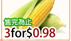 新鲜玉米 FRESH CORN