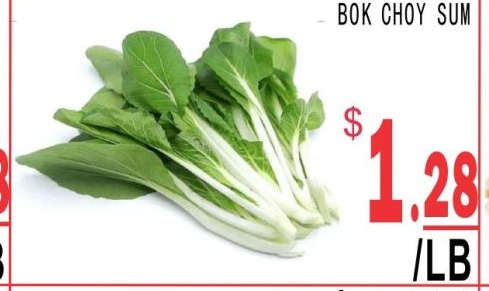 百利白菜心 Bok Choy Sum