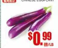 中國茄子 Chinese Eggplant
