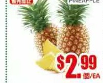 菠蘿 Pineapple