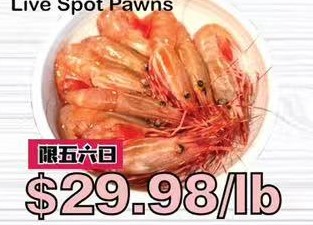 游水珊湖虾 Live Spot Pawns
