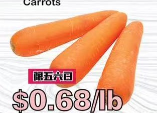 胡萝卜 Carrots