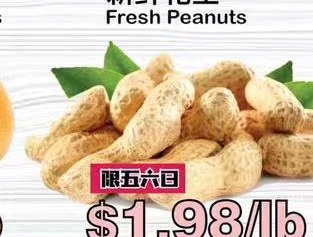 新鲜花生 Fresh Peanuts