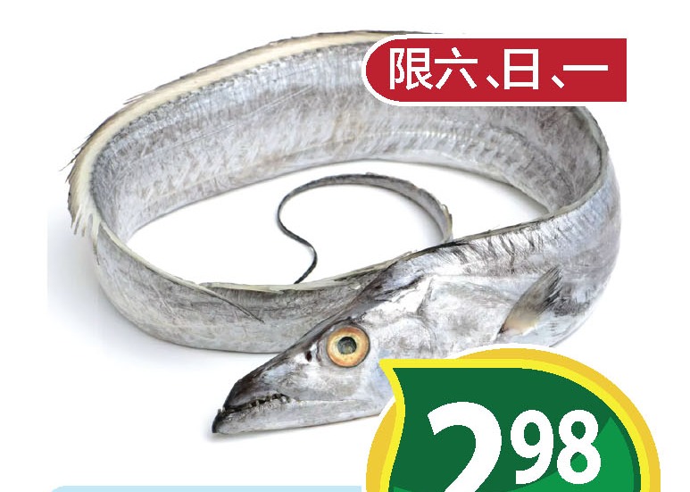 冷冻带鱼 Frozen Cutlass Fish