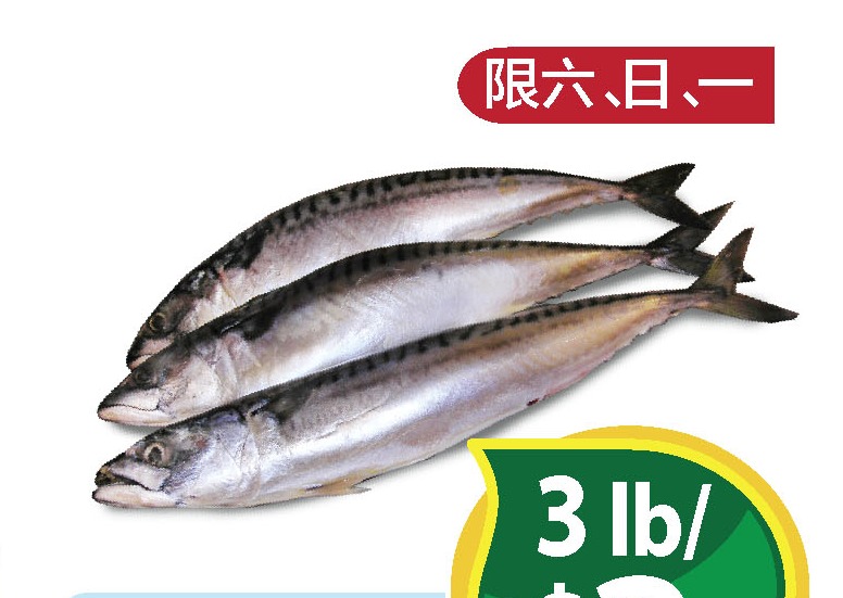 新鲜花椒鱼 Mackerel
