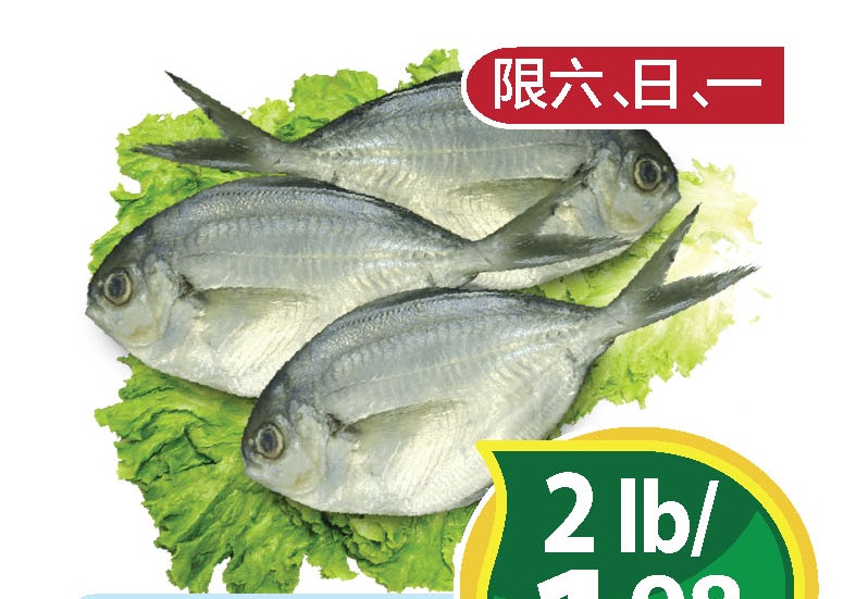 新鲜小鲳鱼 Butter Fish