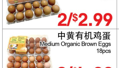 中号走地鸡蛋 12枚装