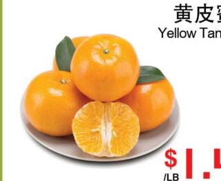 黄皮蜜桔