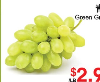 青提 Green Grapes