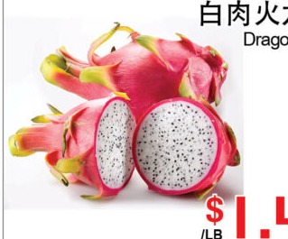 白肉火龙果 Dragon Fruit