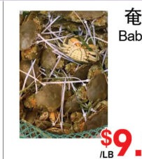 奄仔蟹 Baby Crab