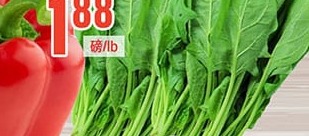 散菠菜
