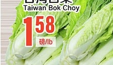 台湾白菜 Taiwan Bok Choy