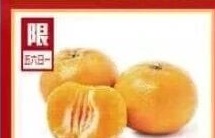 ORRI蜜桔 CLEMENTINES