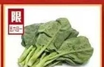 百利芥蘭苗 CHINESE GAI LAN TIPS