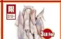 冰鮮魷魚 CHILLED SQUID