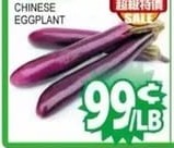 中國茄子 CHINESE EGGPLANT