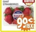 草莓 GIANT STRAWBERRIES