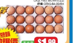 農場走地黃雞蛋18顆 Cage Free Brown Eggs
