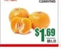蜜橘 CLEMENTINES
