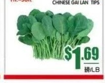 芥蘭苗 CHINESE GAI LAN TIPS