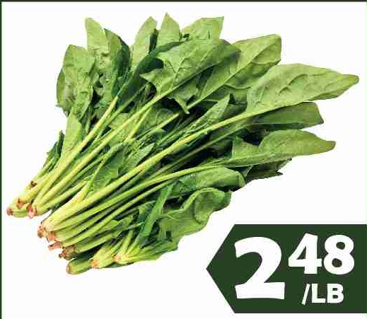 TAIWAN SPINACH 台灣菠菜