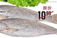 東海鮸魚