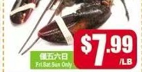 生猛大龍蝦 Live Large Lobster