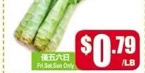 萵筍 Celtuce