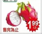DRAGONFRUIT 白火龍果