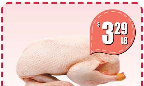 鮮鴨 FRESH DUCK