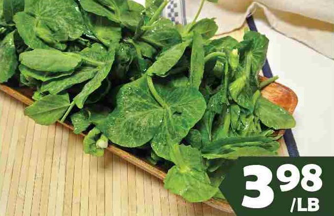 SNOW PEA LEAF 大豆苗 $3.98/LB