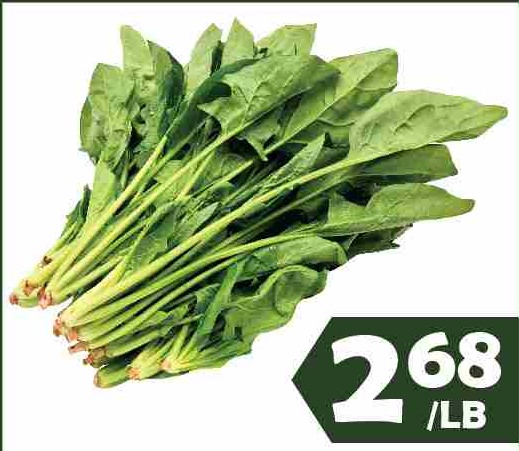 TAIWAN SPINACH 台灣菠菜 $2.68/LB